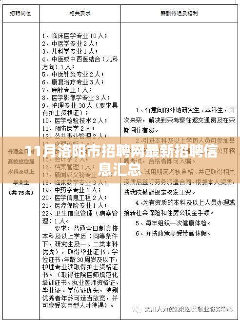 11月洛阳市招聘网最新招聘信息汇总