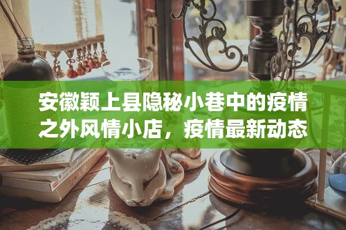 安徽颖上县隐秘小巷中的疫情之外风情小店，疫情最新动态与风情体验