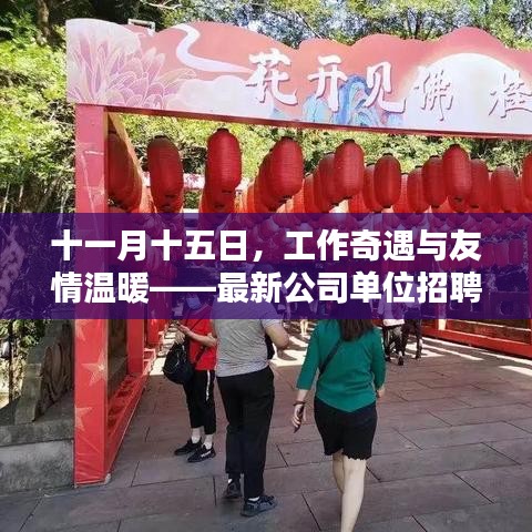 十一月十五日，工作奇遇与友情温暖——最新公司单位招聘信息