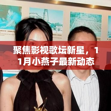 聚焦影视歌坛新星，11月小燕子最新动态闪耀时刻