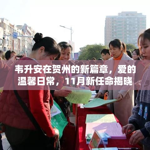 关于我们 第331页