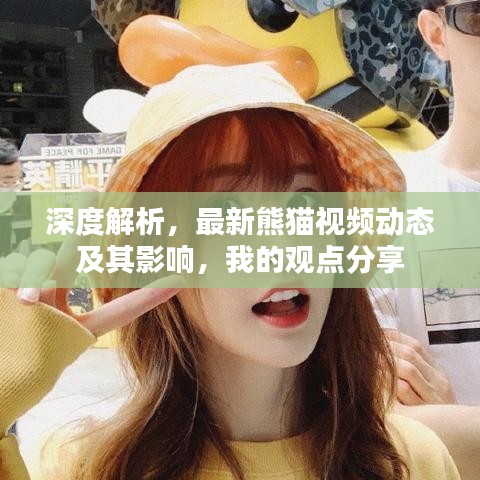 深度解析，最新熊猫视频动态及其影响，我的观点分享
