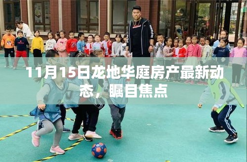 11月15日龙地华庭房产最新动态，瞩目焦点