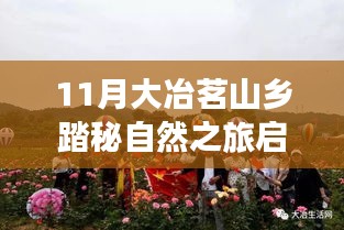 旷古未有 第4页