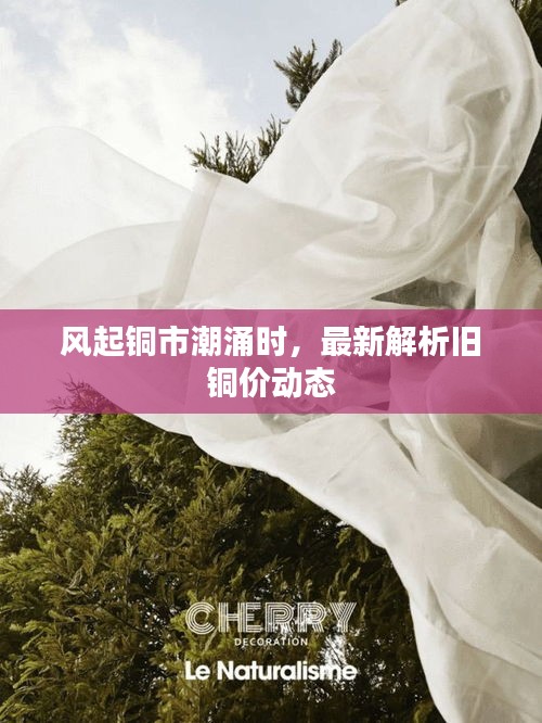 飞扬跋扈 第4页
