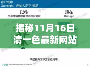 揭秘11月16日清一色最新网站，全新体验与特色功能探讨