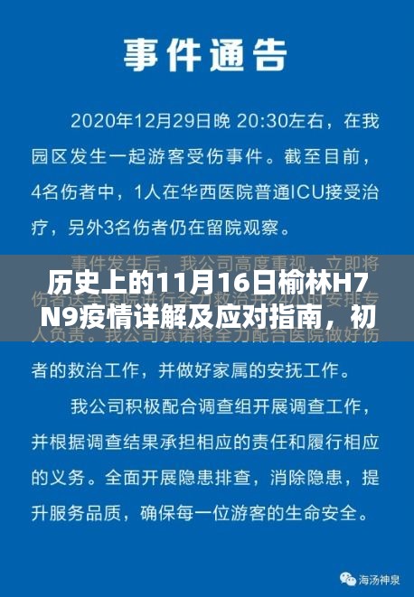 历史上的11月16日榆林H7N9疫情详解及应对指南，初学者与进阶用户的必备参考