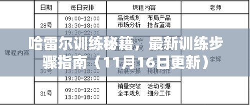 哈雷尔训练秘籍，最新训练步骤指南（11月16日更新）