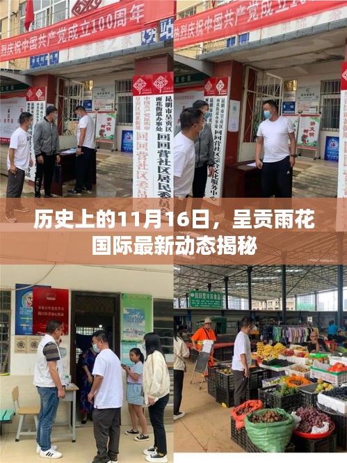 历史上的11月16日，呈贡雨花国际最新动态揭秘