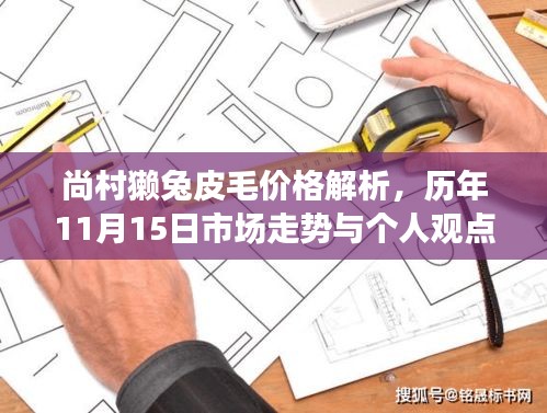 尚村獭兔皮毛价格解析，历年11月15日市场走势与个人观点分析。