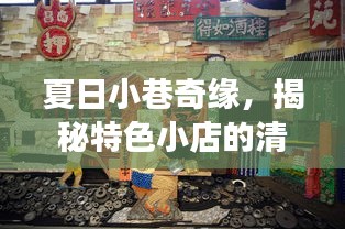 夏日小巷奇缘，揭秘特色小店的清凉夏日最新事件