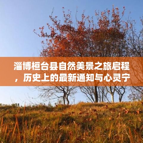 淄博桓台县自然美景之旅启程，历史上的最新通知与心灵宁静之旅启程