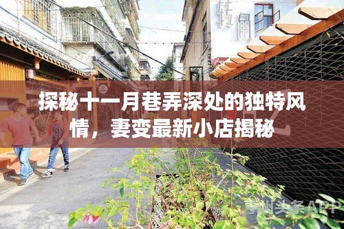 探秘十一月巷弄深处的独特风情，妻变最新小店揭秘