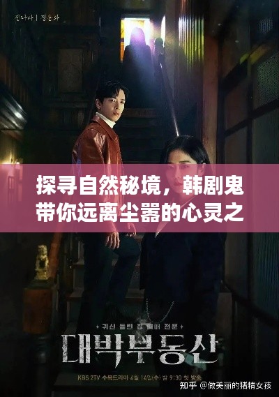探寻自然秘境，韩剧鬼带你远离尘嚣的心灵之旅