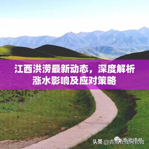 江西洪涝最新动态,深度解析涨水影响及应对策略