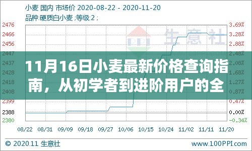 11月16日小麦最新价格查询指南，从初学者到进阶用户的全面步骤