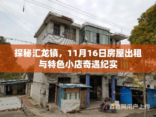 探秘汇龙镇，11月16日房屋出租与特色小店奇遇纪实