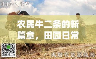 农民牛二条的新篇章，田园日常的温馨时光（最新视频 2024年）