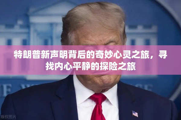 特朗普新声明背后的奇妙心灵之旅，寻找内心平静的探险之旅