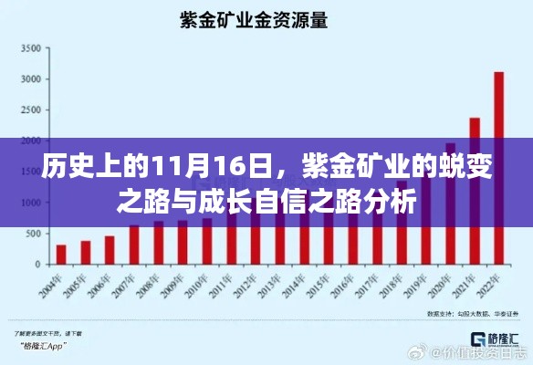 历史上的11月16日，紫金矿业的蜕变之路与成长自信之路分析