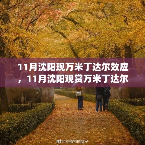 沈阳11月惊艳现万米丁达尔效应，神秘光影之美一览无余