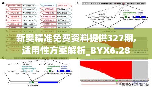 新奥精准免费资料提供327期,适用性方案解析_BYX6.28