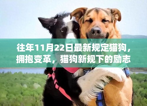 猫狗新规下的励志篇章，拥抱变革的时代宠儿