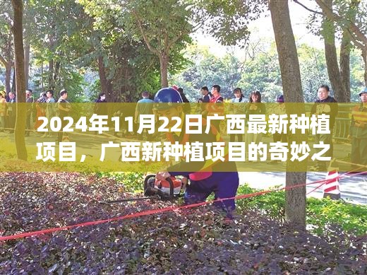 广西新种植项目奇妙之旅，爱与陪伴的种子在金秋盛开