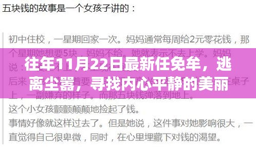 逃离尘嚣，心灵之旅，11月22日自然探险的奇遇与任免牟的故事