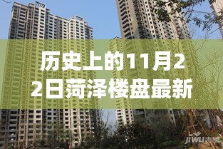 揭秘历史时刻，菏泽楼盘价格惊现暴跌背后的真相揭秘！