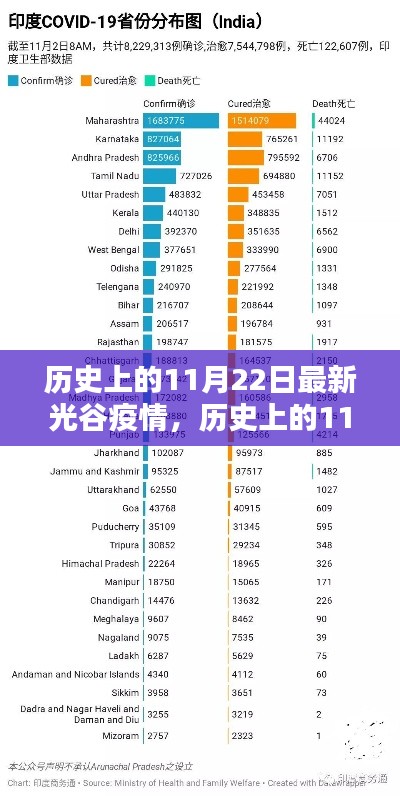 历史上的11月22日光谷疫情深度评测与报告分析
