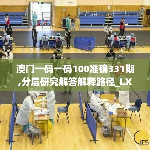 澳门一码一码100准确331期,分层研究解答解释路径_LXP7.61