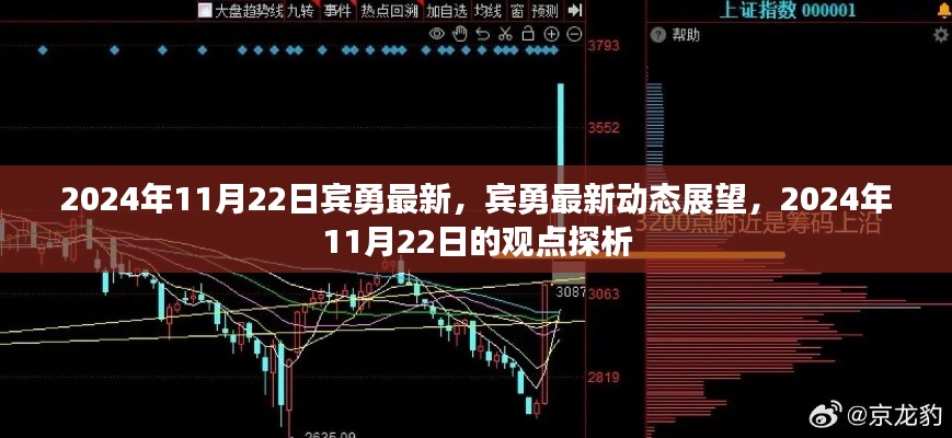 宾勇最新动态展望，2024年11月22日的观点探析