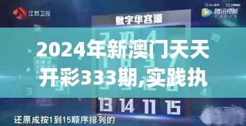 2024年新澳门天天开彩333期,实践执行方案_DKV5.80