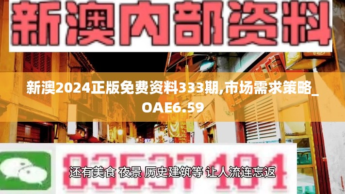 新澳2024正版免费资料333期,市场需求策略_OAE6.59