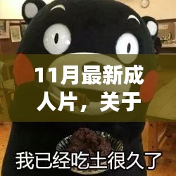 11月最新成人片，关于11月最新成人影片的详细介绍与评测