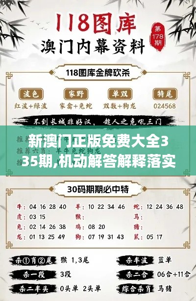 新澳门正版免费大全335期,机动解答解释落实_LCD6.52
