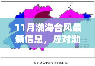 11月渤海台风最新动态与应对指南，台风信息及应对策略全解析