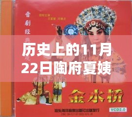 历史上的11月22日，陶府夏姨娘最新章节回顾