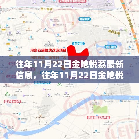 往年11月22日金地悦荔最新信息，往年11月22日金地悦荔最新信息全面评测与介绍