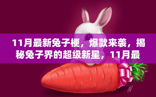 揭秘兔子界的超级新星，揭秘最新兔子梗席卷全球！