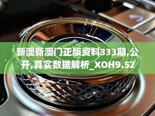 新澳新澳门正版资料333期,公开,真实数据解析_XOH9.52