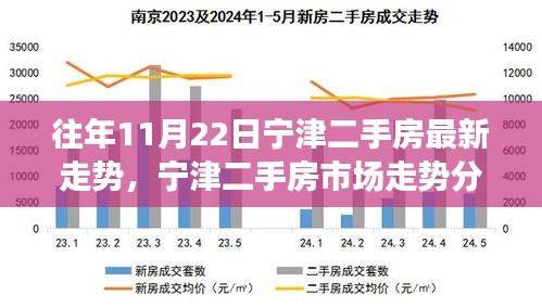 近年11月22日宁津二手房市场走势分析与最新动态
