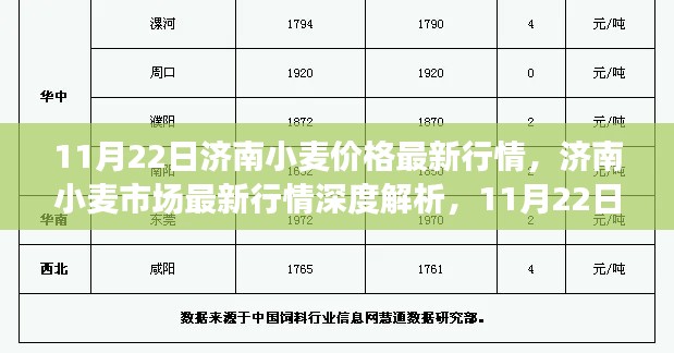 11月22日济南小麦市场最新行情解析及小麦价格评析与特性探讨