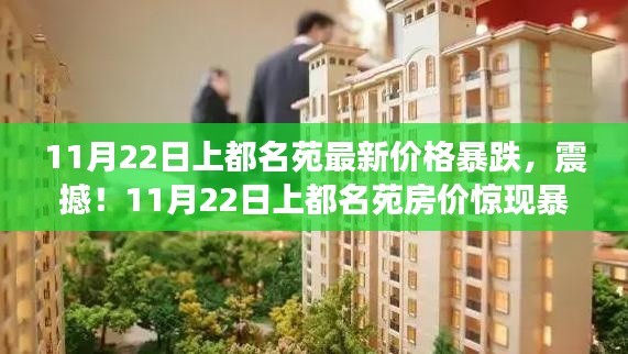 11月22日上都名苑房价暴跌引发抢购热潮与观望并存
