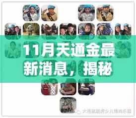 揭秘十一月天通金最新动态，领域地位重塑与背景回顾