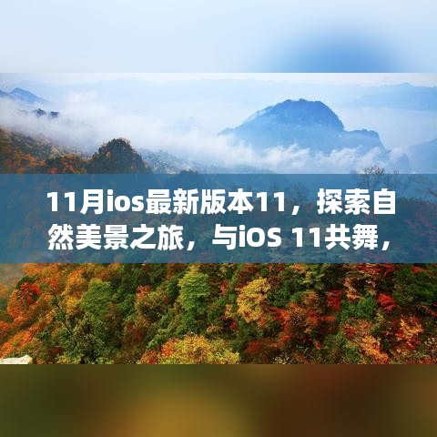 关于我们 第322页