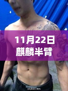 麒麟半臂纹身背后的爱与陪伴，十一月温馨日常新篇章