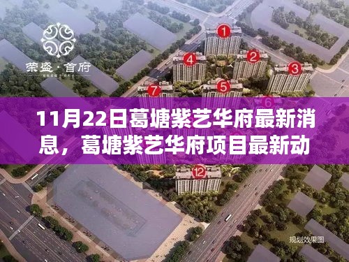 葛塘紫艺华府最新动态解析，聚焦机遇与挑战，揭秘项目最新消息与机遇展望（11月22日）