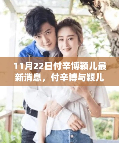 付辛博颖儿最新动态揭秘，背后的故事与传闻曝光（独家报道）